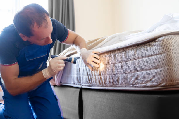 Best Bed Bug Extermination  in Long Beach, IN